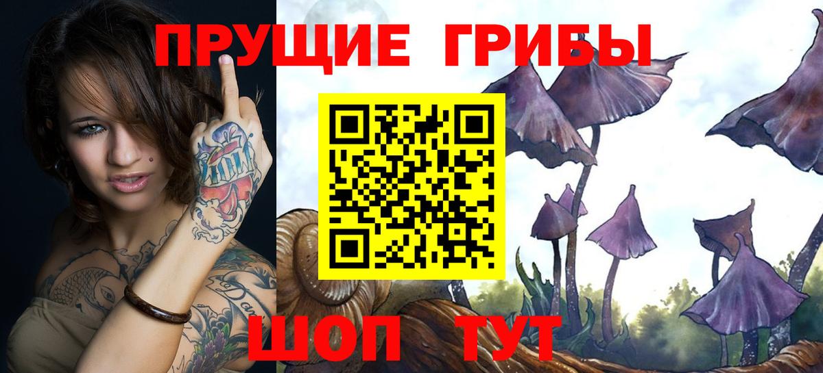 Галлюциногенные грибы мухоморы  Вход с VPN  Выборг 